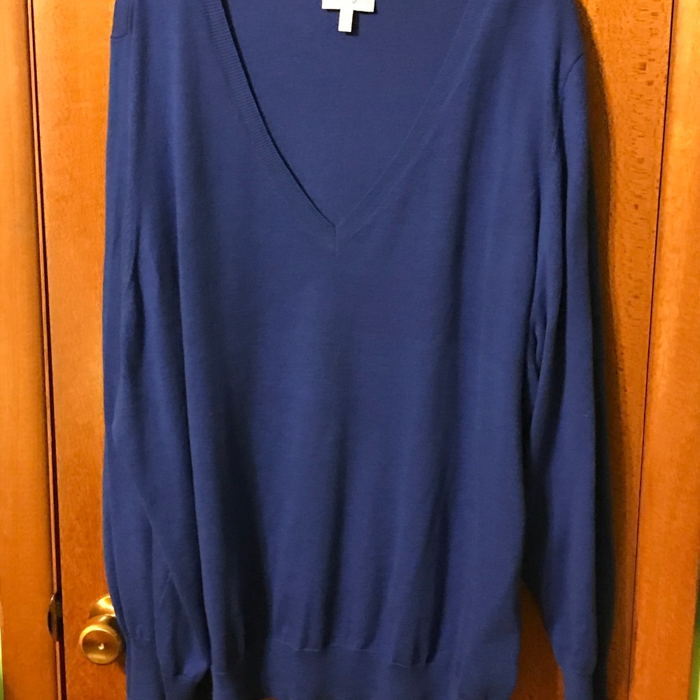 Solid blue plus size sweater.